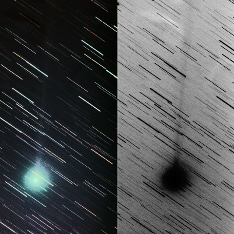 8/13未明のジャック彗星