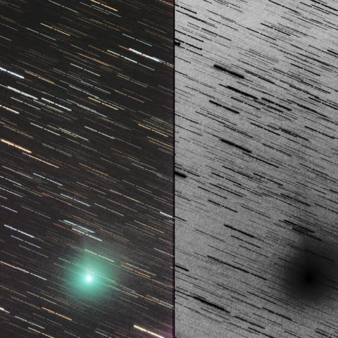 8/24未明のジャック彗星