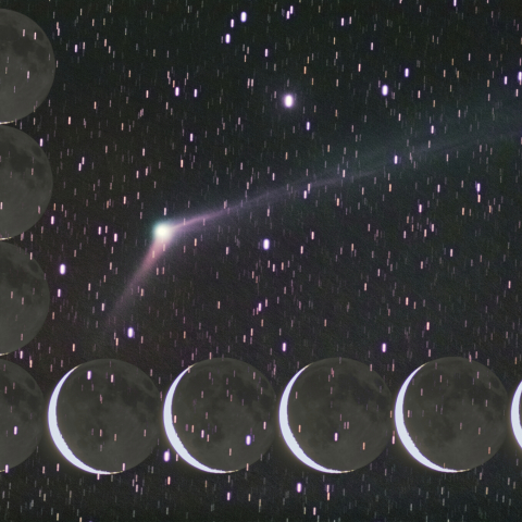 12/9カタリナ彗星と月の大きさ比較