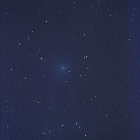 4/1早朝、薄明下の252P/LINEAR(2016)リニア彗星