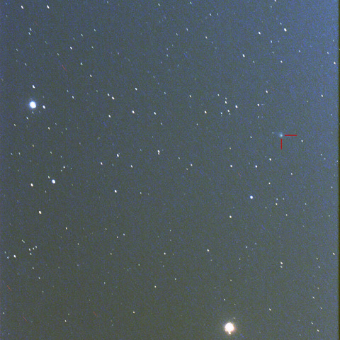 7日早朝の池谷・村上彗星