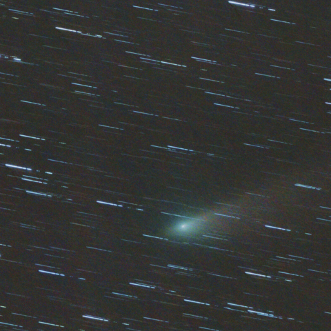 2/24-25 45P/本田-Mrkos-Pajdusakova彗星