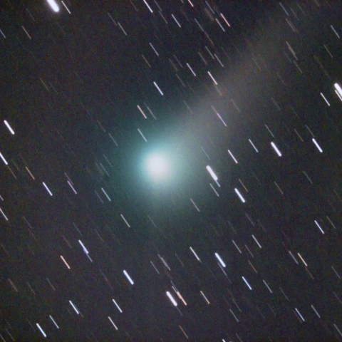 5/18深夜のJohnson彗星イオンテール