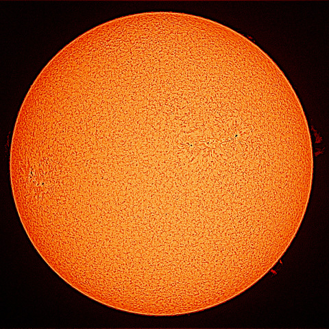 日蝕約半日後の太陽Hα像