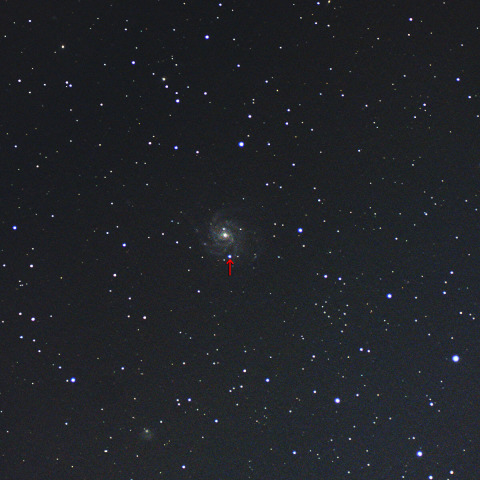 M101の超新星(9/24晩)