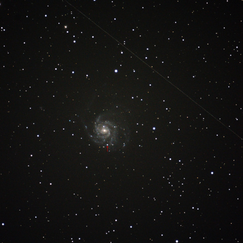 M101超新星その後10.29
