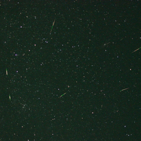 8月11日 ペルセウス座流星群