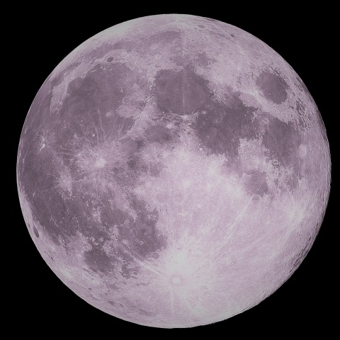 Strawberry moon