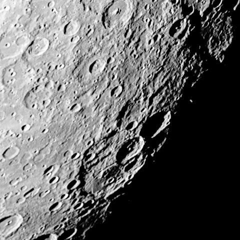 ジャンセン辺り