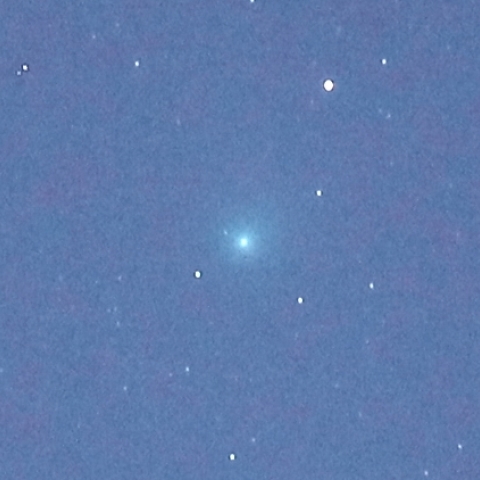 c2009 P1ギャラッド彗星