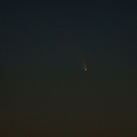 パンスターズ彗星