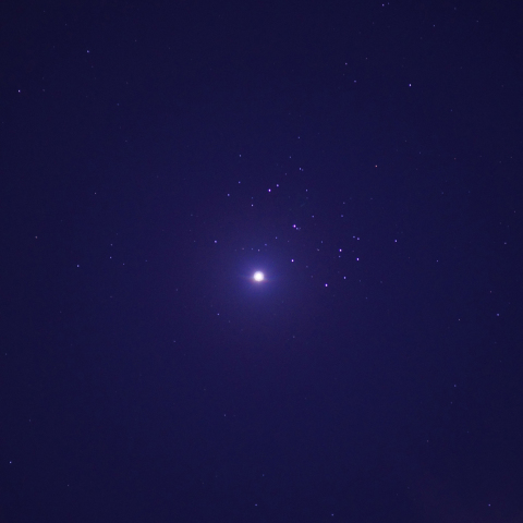 金星とプレアデス星団大接近