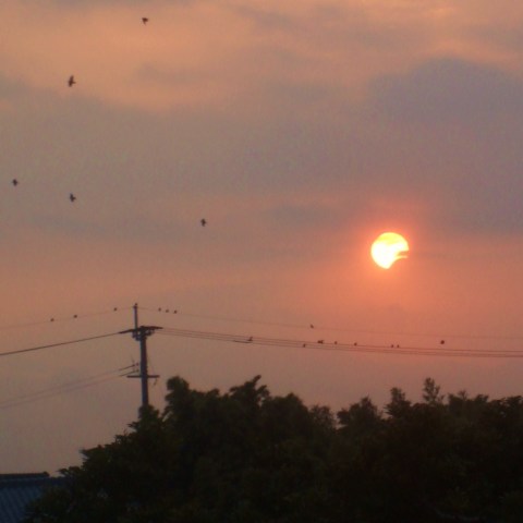 大分県中津市より