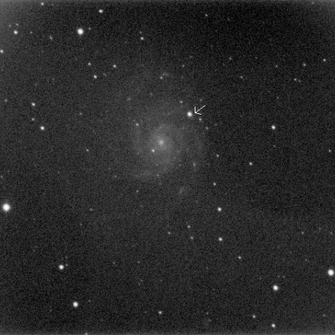 M101超新星
