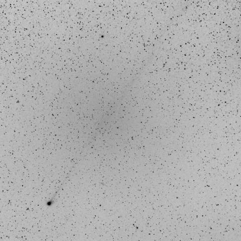 6月9日　未明の尾