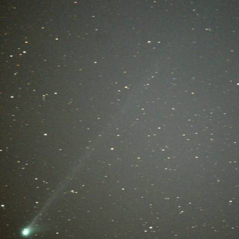 6月19日未明のマックノート彗星