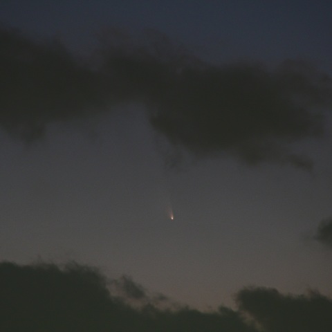 パンスターズ彗星