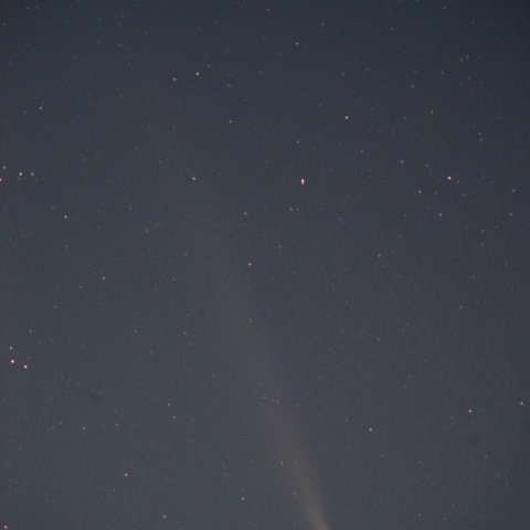 紫金山・アトラス彗星＠桶川