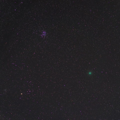 おうし座を行くウィルタネン彗星 