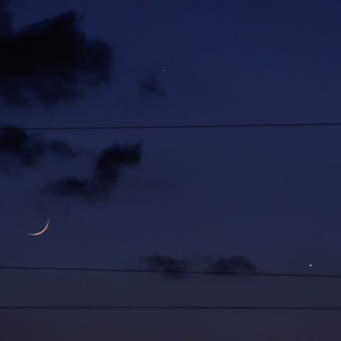 20200524 月・水・金