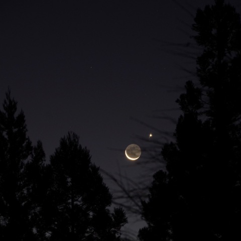 月・金星　接近（埼玉県 栃本広場）