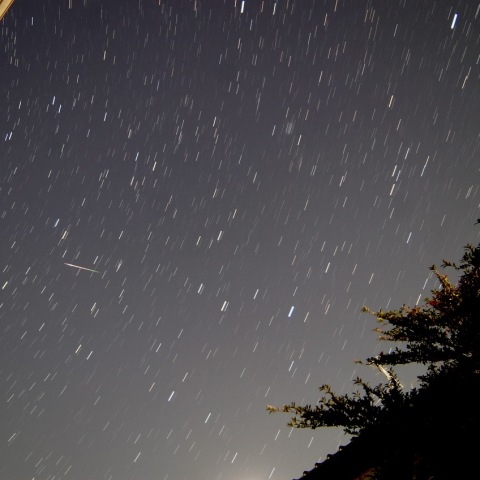 しし座流星群 2022