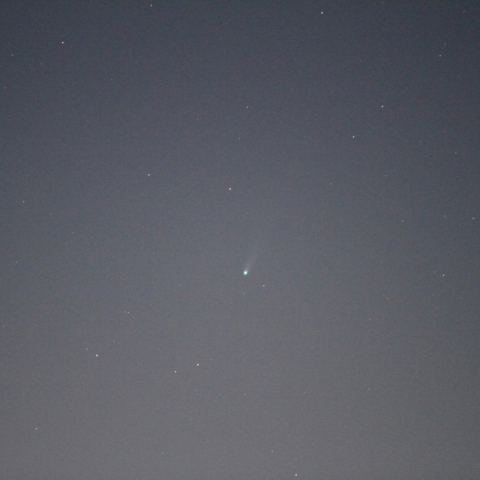 初心者でも撮れました