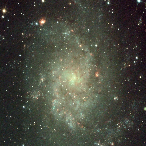 M33