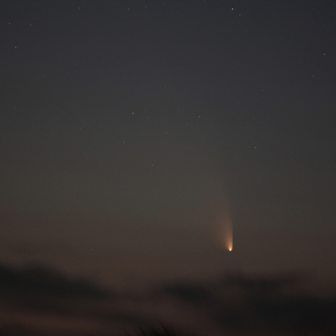 パンスターズ彗星