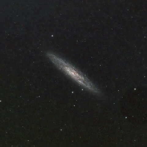 NGC253