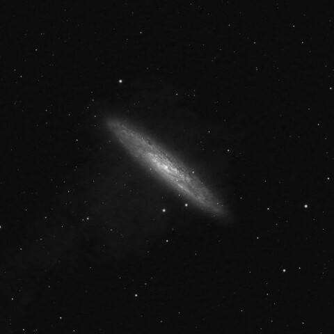 NGC253