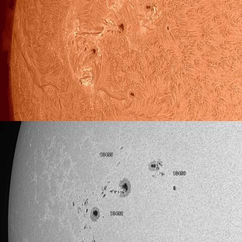 太陽活動領域13492他 2023/11/22