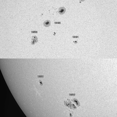 太陽黒点 2023/11/25