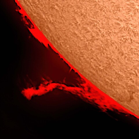 太陽プロミネンス 2023/11/28