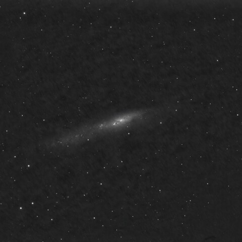 NGC55