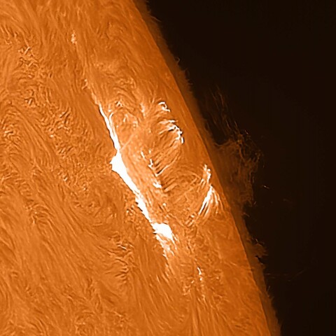 太陽フレアによるループプロミネンス（ポストフレアループ） 2023/08/06