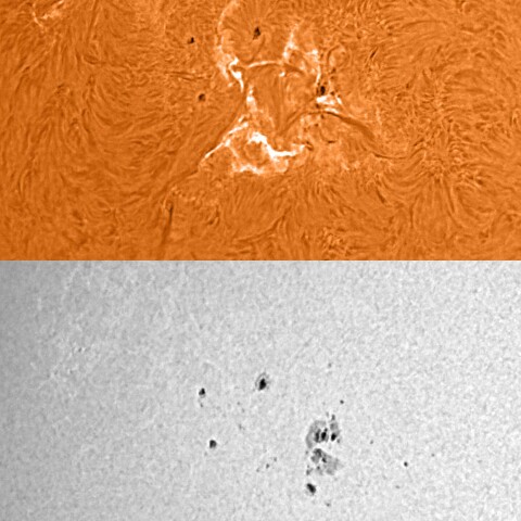 太陽活動領域13536 2024/01/04
