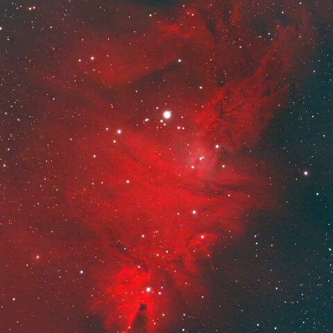 NGC2264　クリスマスツリー星団とコーン星雲