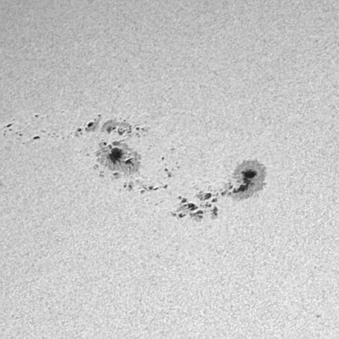 太陽黒点 2024/01/22