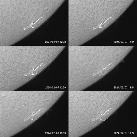 太陽フレアによるループプロミネンス（ポストフレアループ）（前半） 2024/02/07