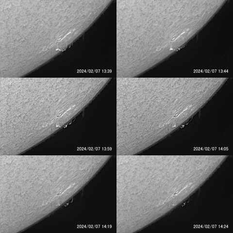 太陽フレアによるループプロミネンス（ポストフレアループ）（後半） 2024/02/07