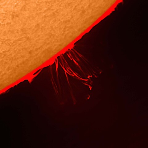 ループプロミネンス（ポストフレアループ） 2024/02/09