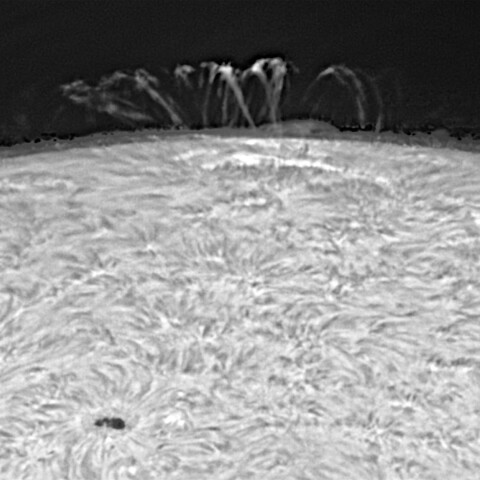 ループプロミネンス（ポストフレアループ） 2024/02/10