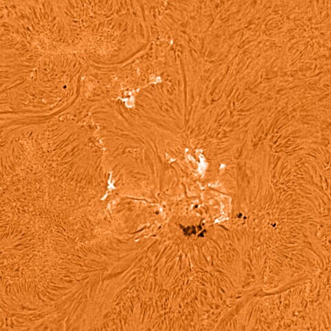 太陽活動領域13576&13579 2024/02/12