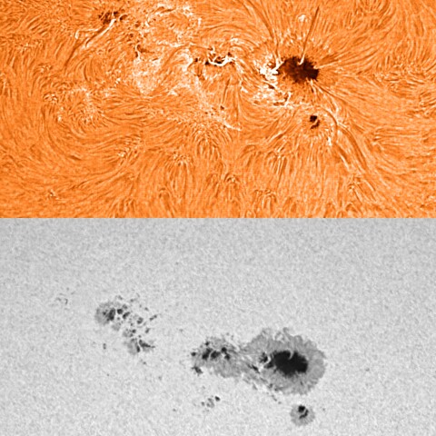 太陽活動領域13590 2024/02/24