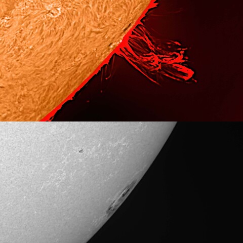 太陽活動領域13615 2024/03/31