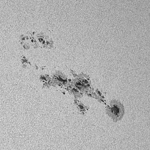 太陽黒点(活動領域13663) 2024/05/05