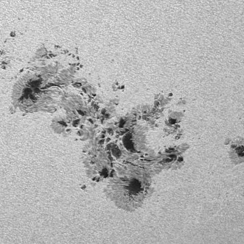 太陽黒点(活動領域13664) 2024/05/10