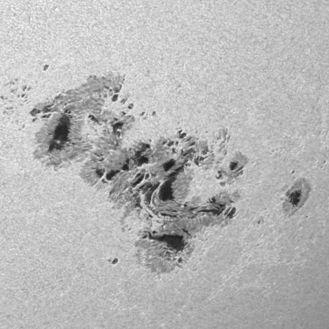 太陽黒点(活動領域13664) 2024/05/11