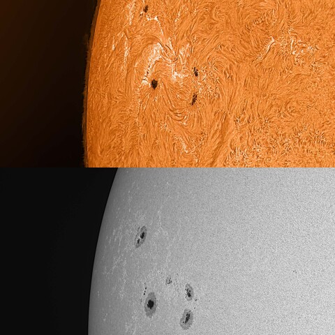 太陽活動領域13685&13686 2024/05/18